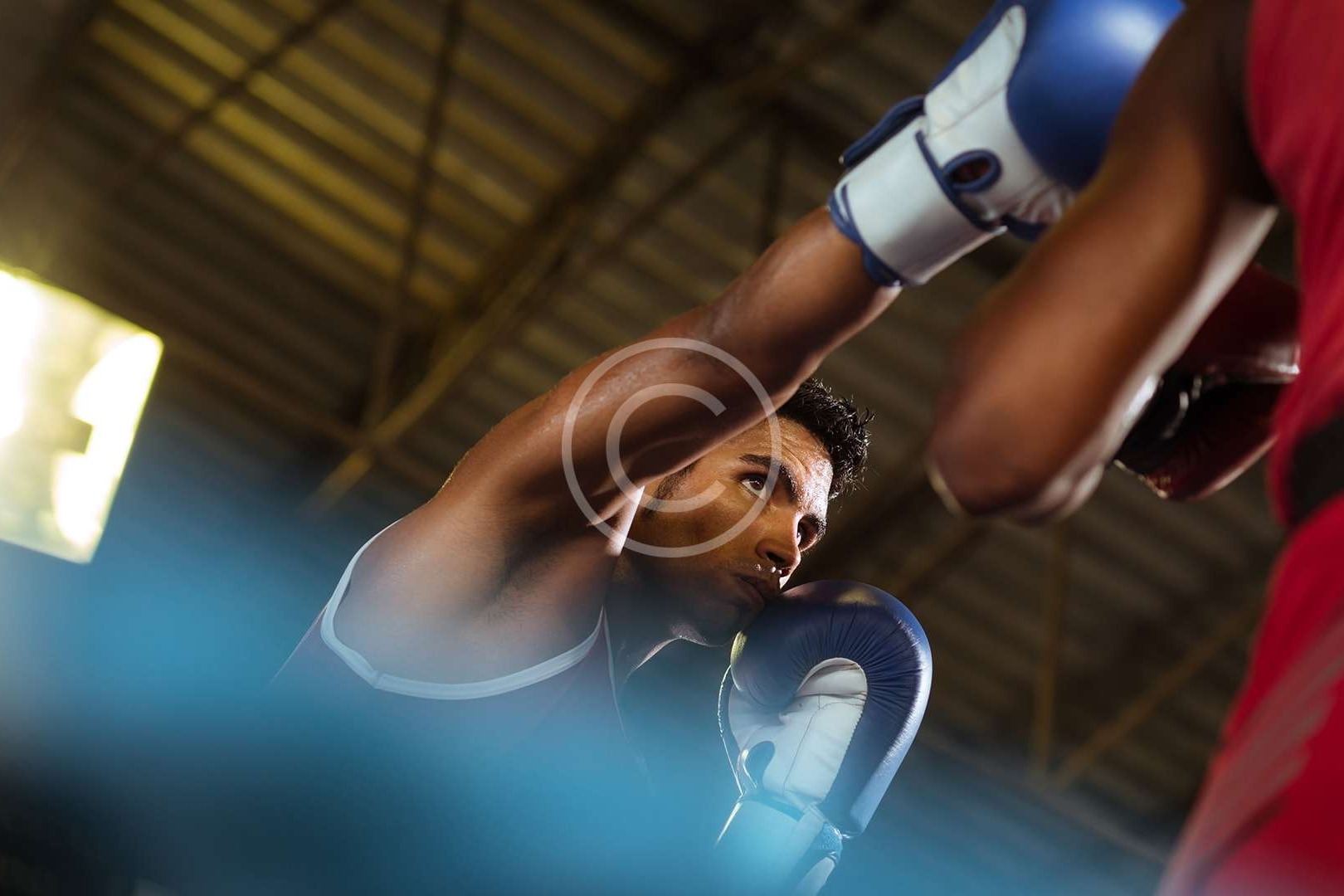 The Best Boxers in Their Weight Categories